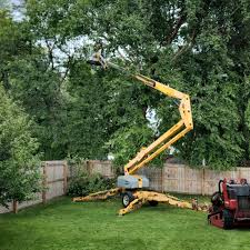 Best Arborist Consultation Services  in Kittitas, WA