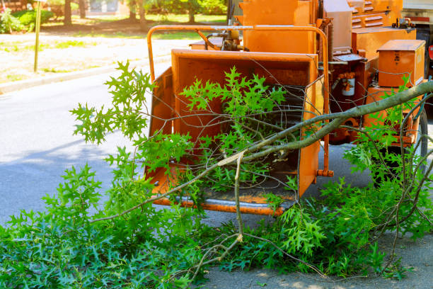 Best Lot and Land Clearing  in Kittitas, WA