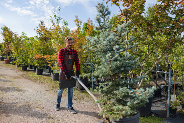 Best Tree Trimming and Pruning  in Kittitas, WA