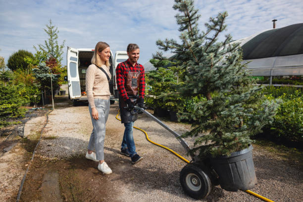 Best Lawn Mowing  in Kittitas, WA